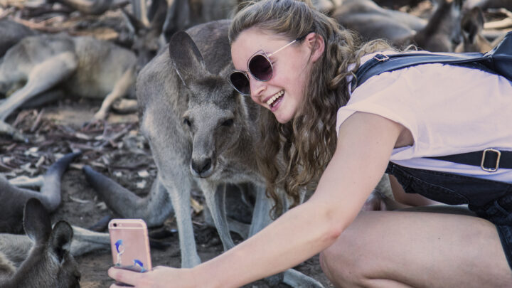 ingles-australia_cover